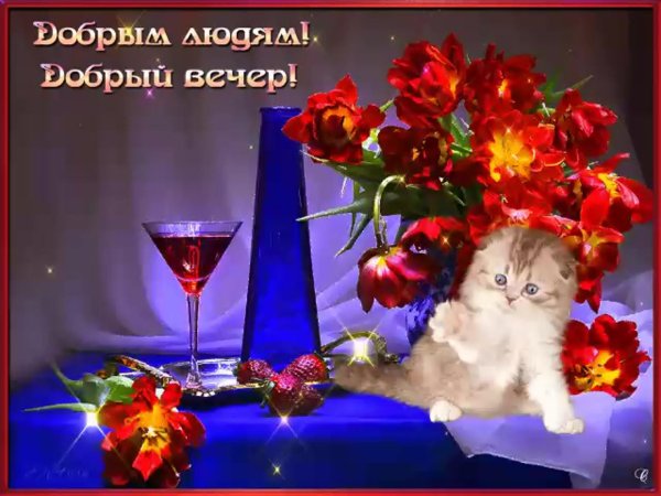 вечера доброго