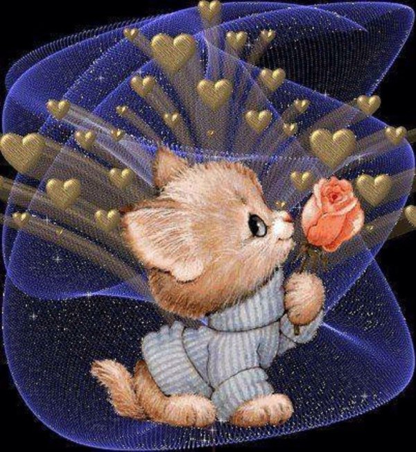 анимированная гифка