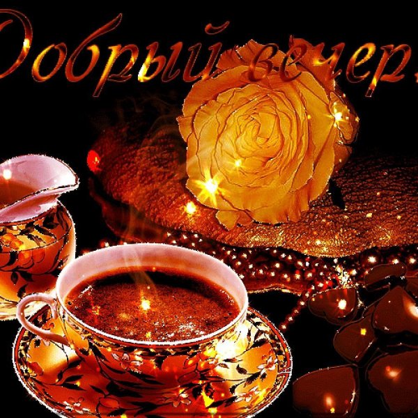 добр вечер