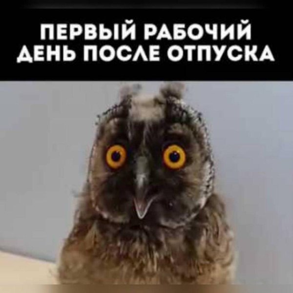 первый день после отпуска