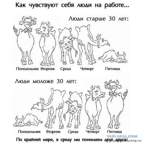 работа человека