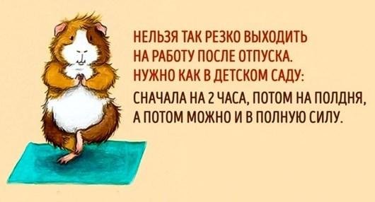 йога афоризмы смешные