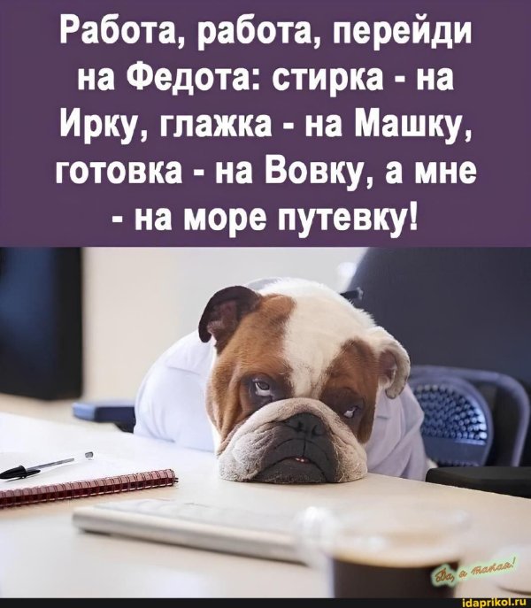 собака бульдог
