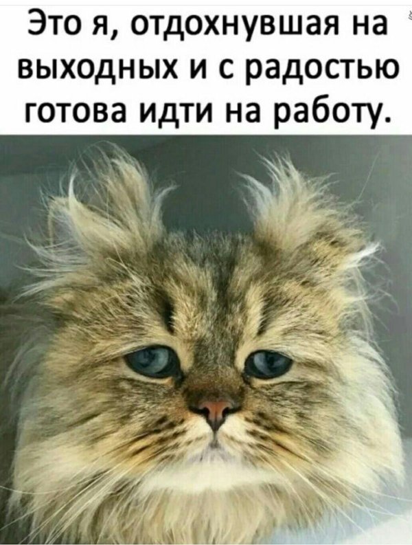 про выходные смешные