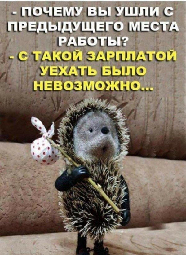 веселые высказывания