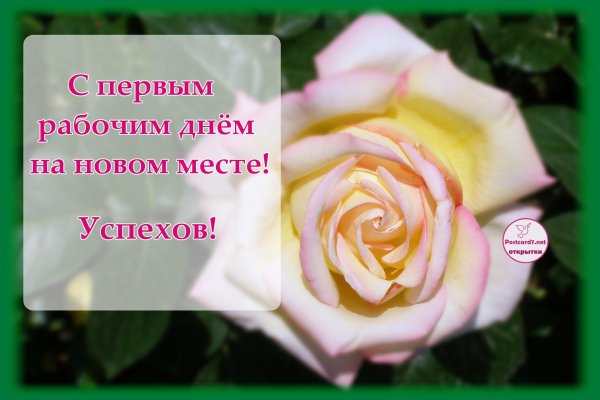 поздравление с успехом