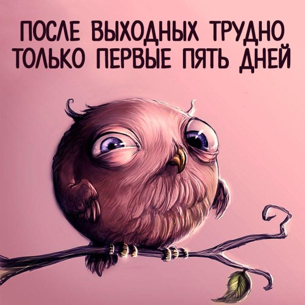 сонная сова