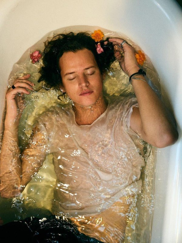 harry styles harry styles