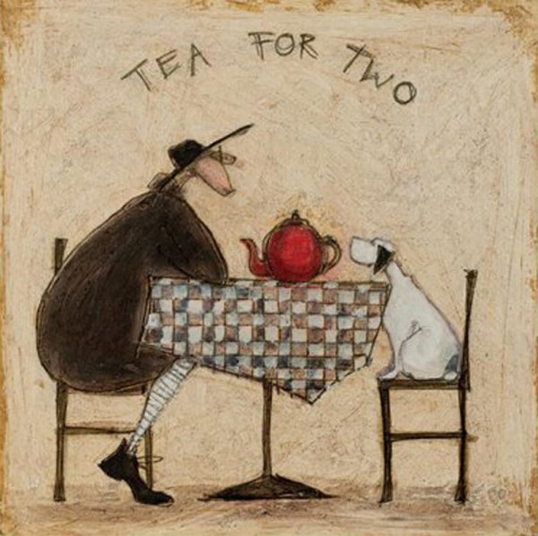 sam toft