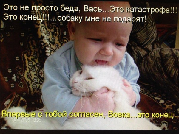 смешно с надписями