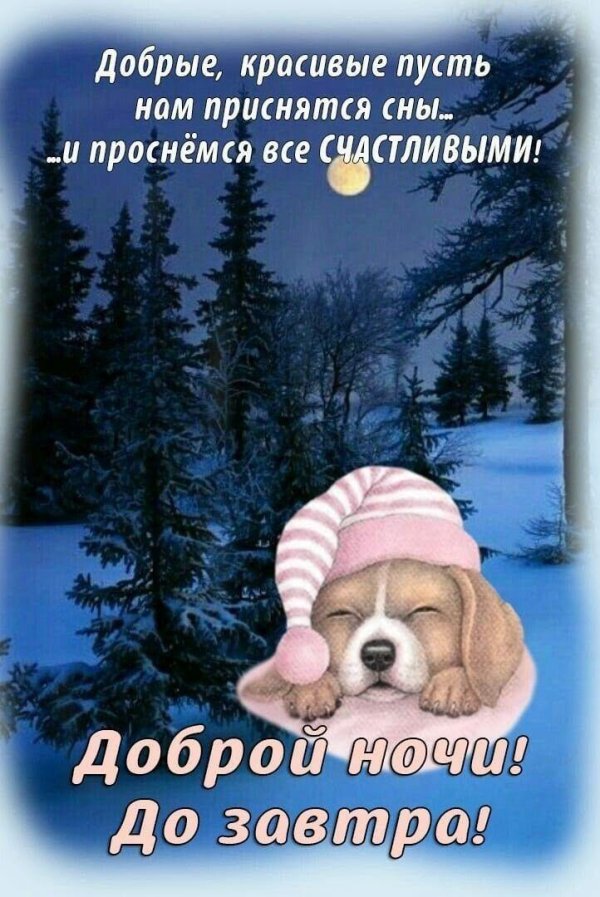 Доброй ночи зимние женщине