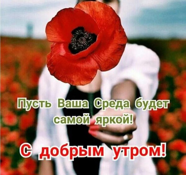 яркого доброго утра