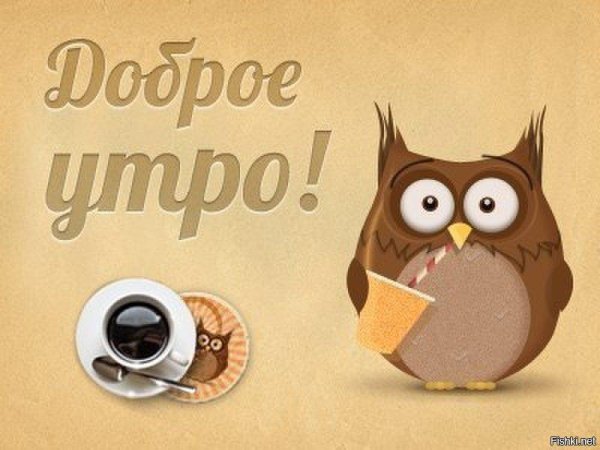 сова сонная