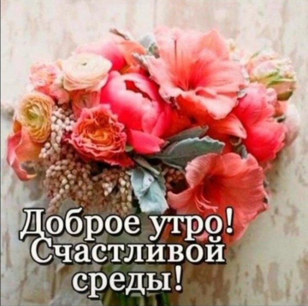 прекрасной среды