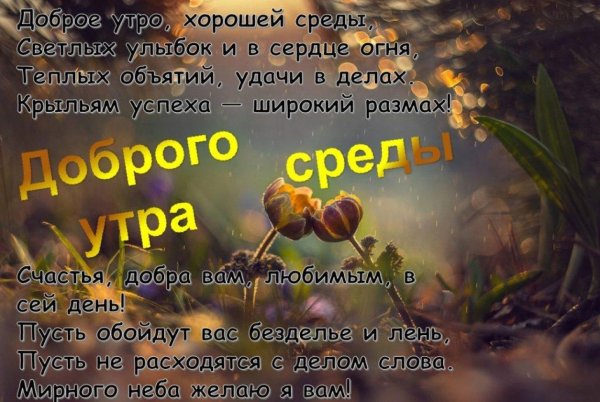 среда доброго утра