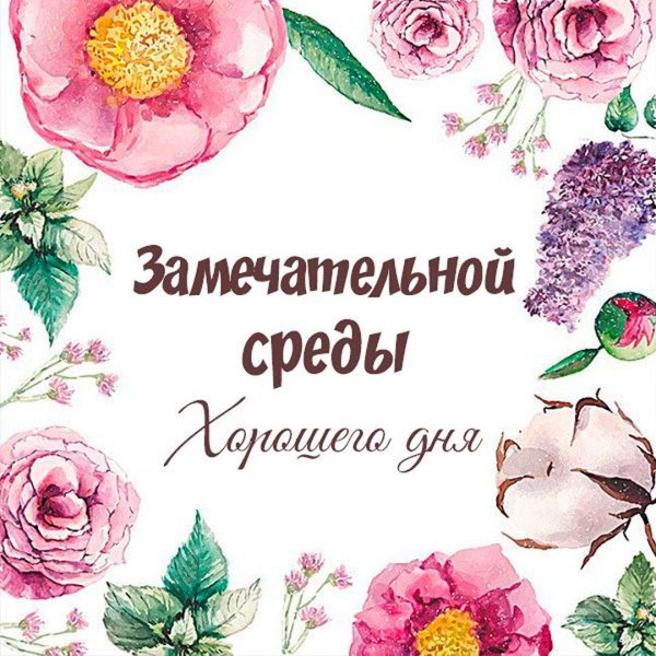 здравствуйте открытка