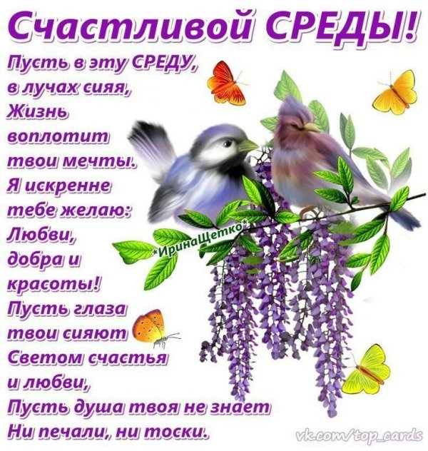 счастливая среда