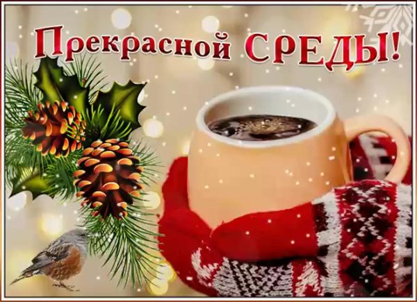 доброй утренней зимней среды