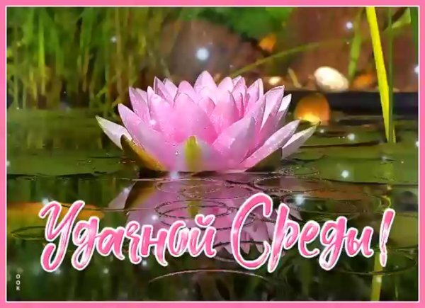 открытка со средой