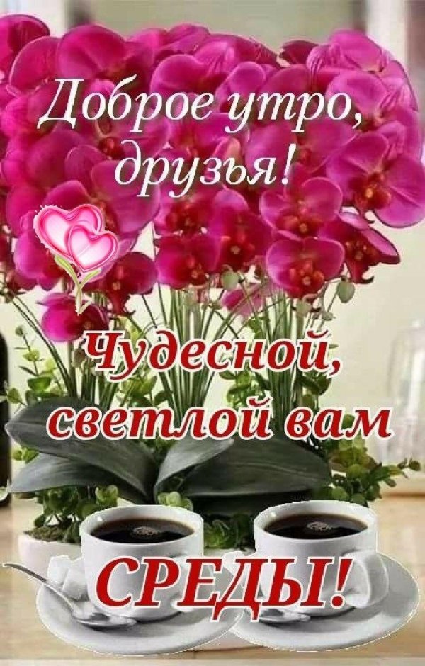 доброе утро лиля