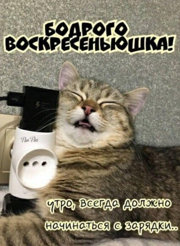 бодрого воскресеньюшка