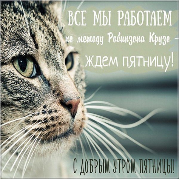 бодрой пятницы