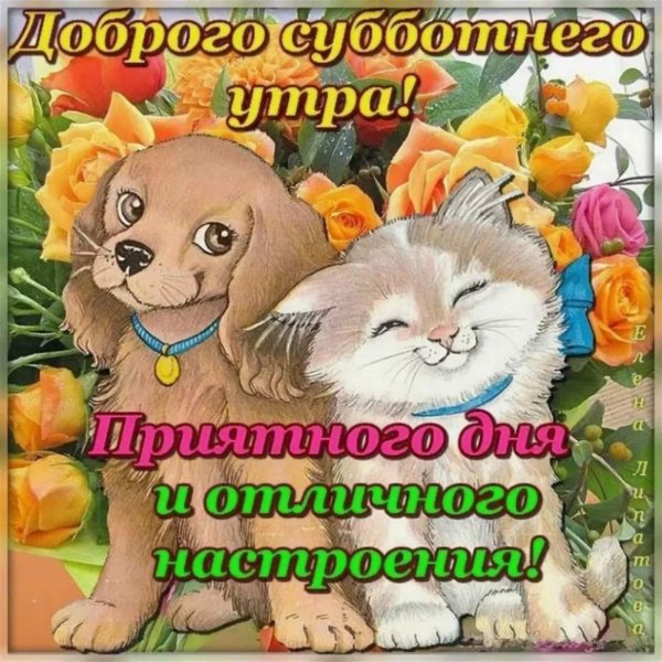 Доброе утро суббота мужчине