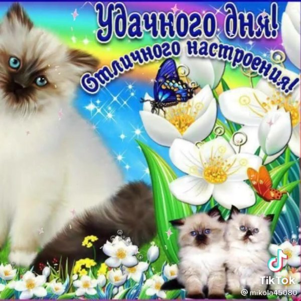 Дня чудесного