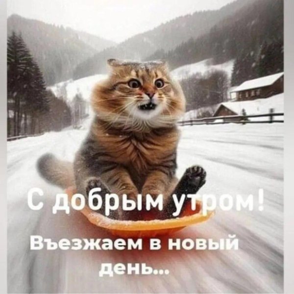 Доброе утро зимние позитивные мужчине