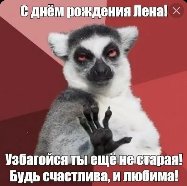 лемур узбагойся