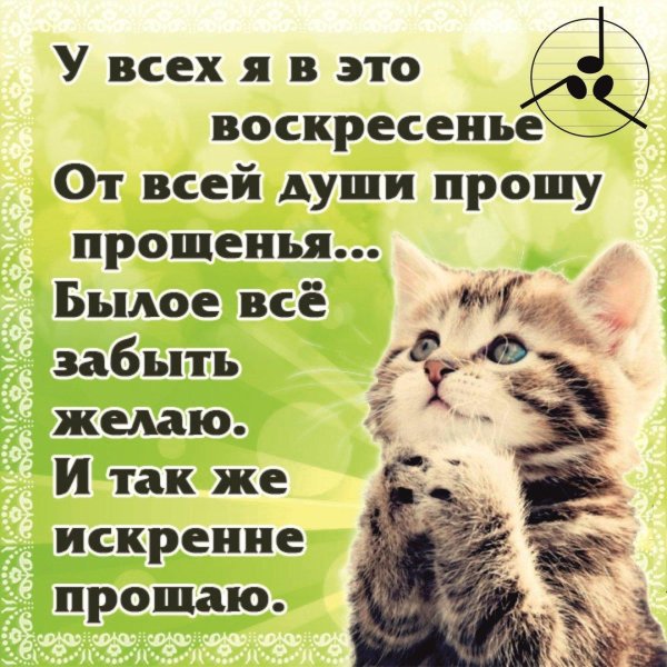 Прости