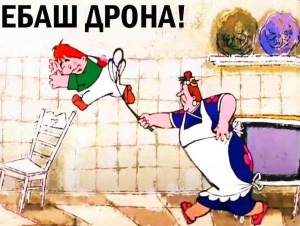 фрекен бок гоняет карлсона