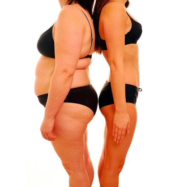 толстая и стройная