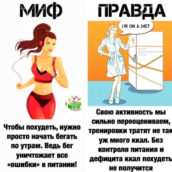 мифы о похудении