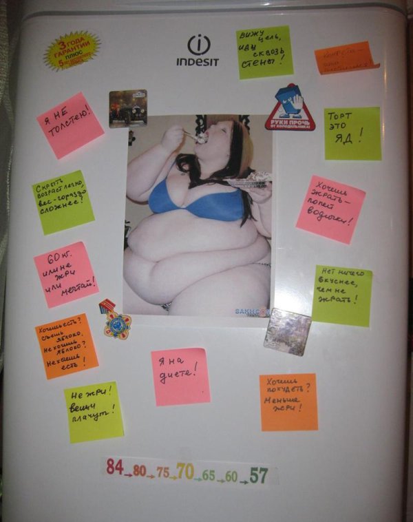 надпись на холодильник для худеющих приколы