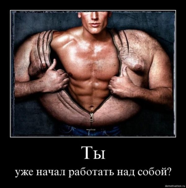 мужской живот