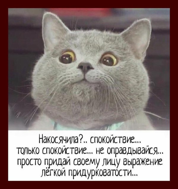 накосячила не оправдывайся просто