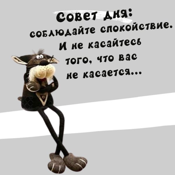 совет дня