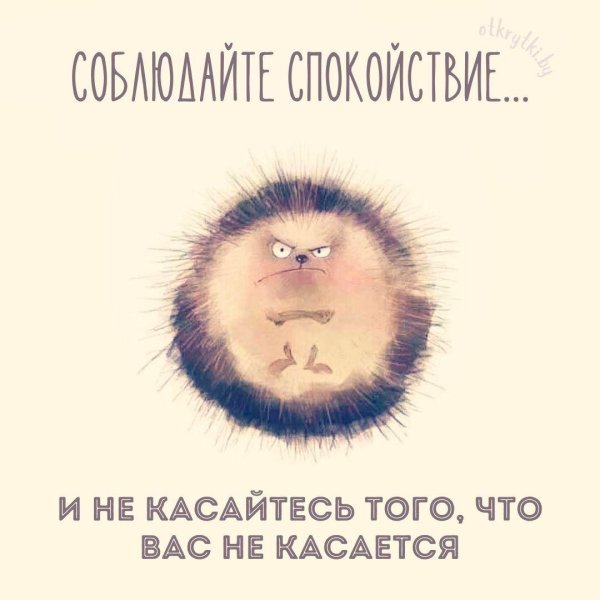 прикольная фраза