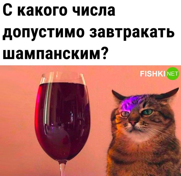 приколы юмор