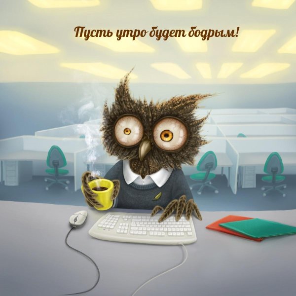 сова сонная