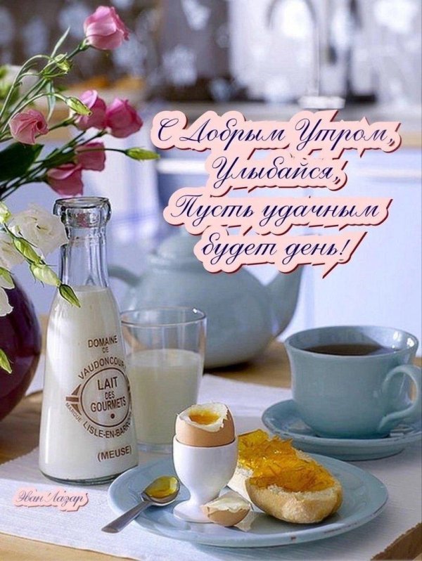 молоко добрый день