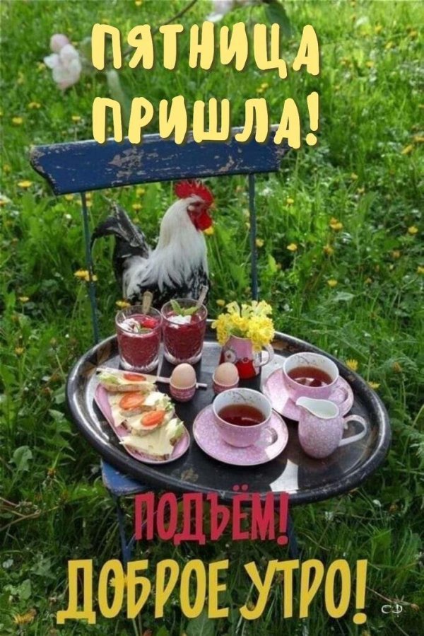 доброе утро деревенские