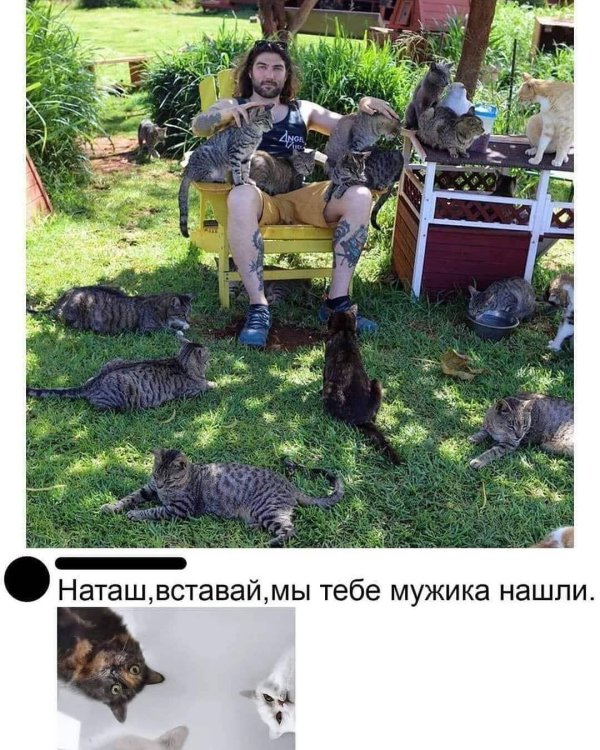 Сильная женщина