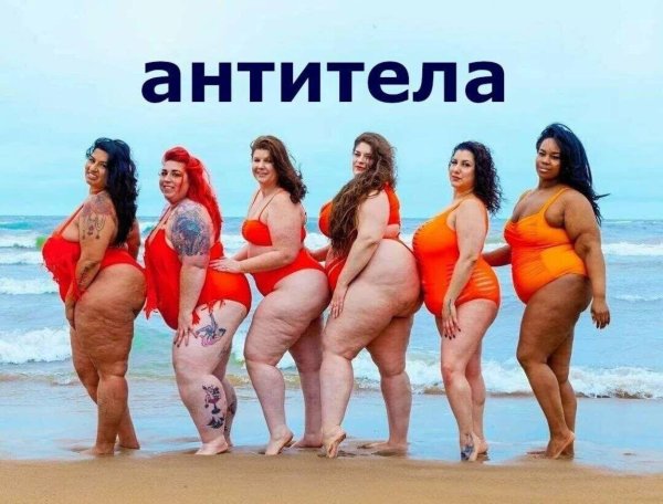 модели бодипозитив
