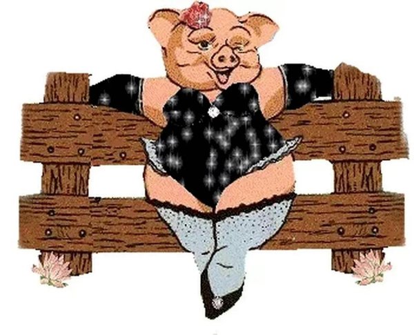 свинья в трусах