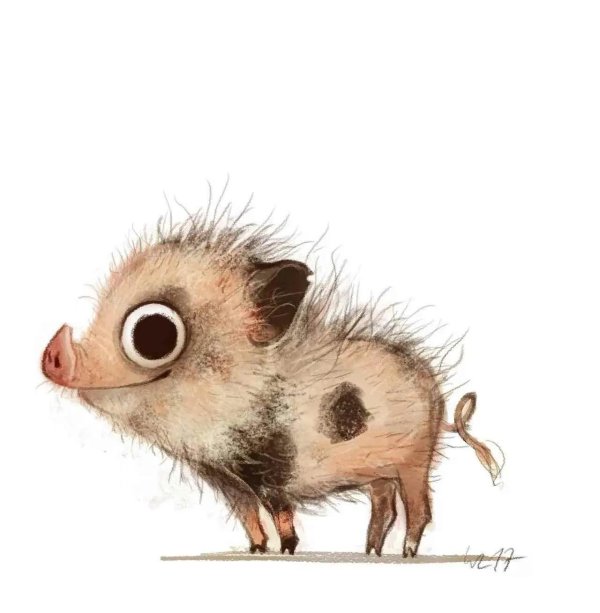 иллюстрации животных