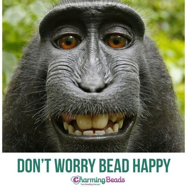 улыбающаяся обезьяна