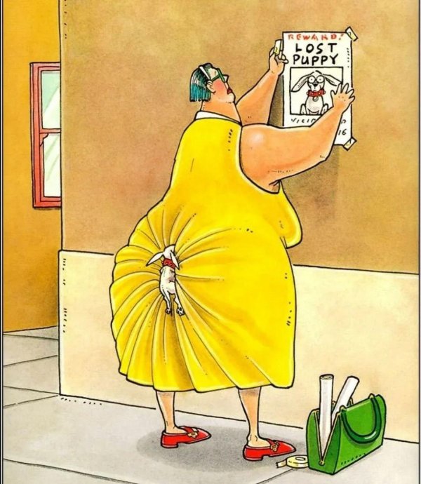 юмористические открытки