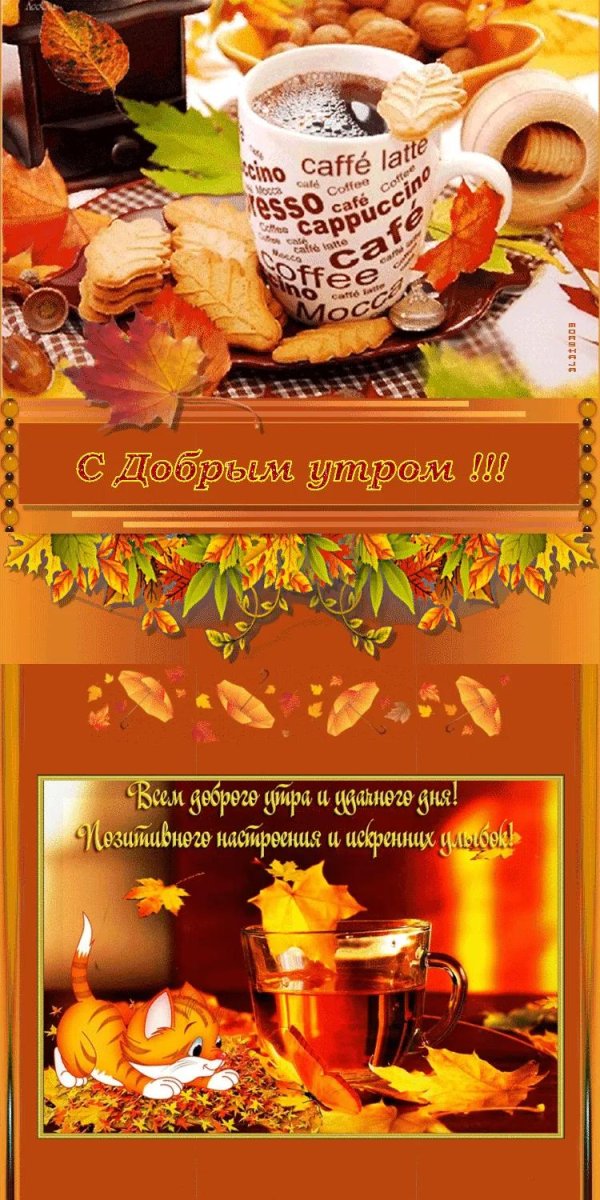 с добрым осенним утром друзья